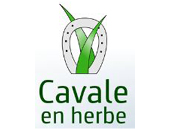 Logo CAVALE EN HERBE