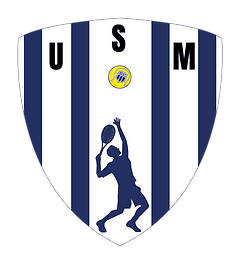 Logo UNION SPORTIVE DU MANS